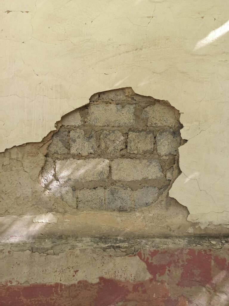 Dano de agua y moho - Homeinc